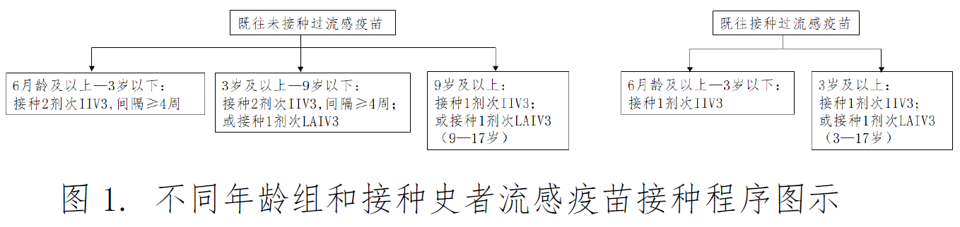 不同年龄组、免疫状态的流感疫苗接种程序图示
