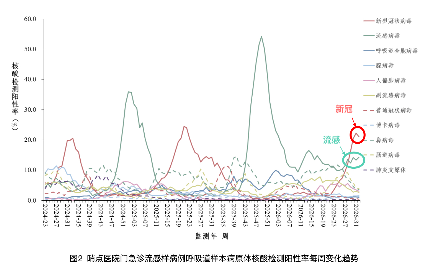 图2 哨点医院门急诊流感样病例呼吸道样本病原体核酸检测阳性率每周变化趋势