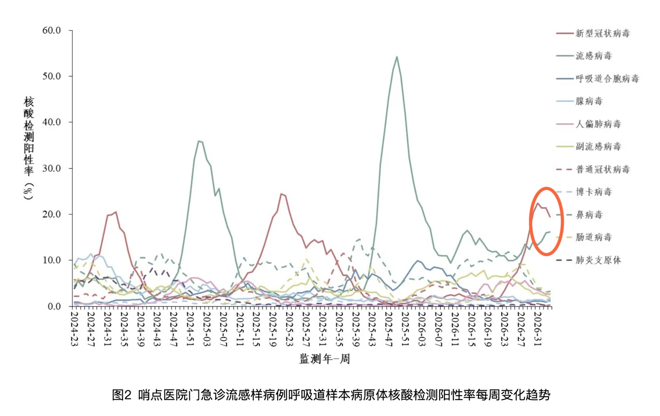 图2 哨点医院门急诊流感样病例呼吸道样本病原体核酸检测阳性率每周变化趋势